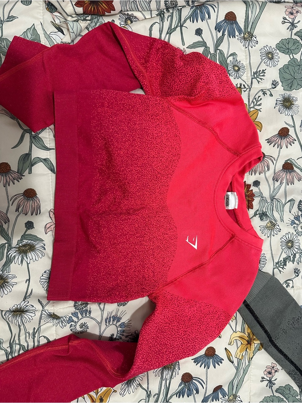Gymshark Red Gradient Crewneck Sweater